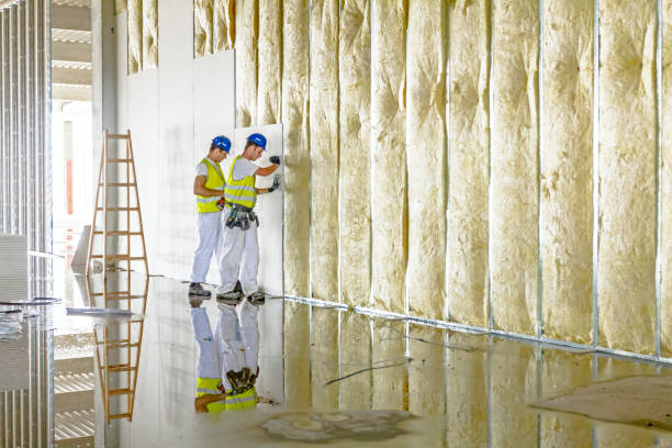 Insulation Inspection Services in East Jordan, MI